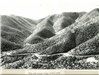 Bisbee; Arizona; Modoc; Stagecoach; Road; Mule Mountains