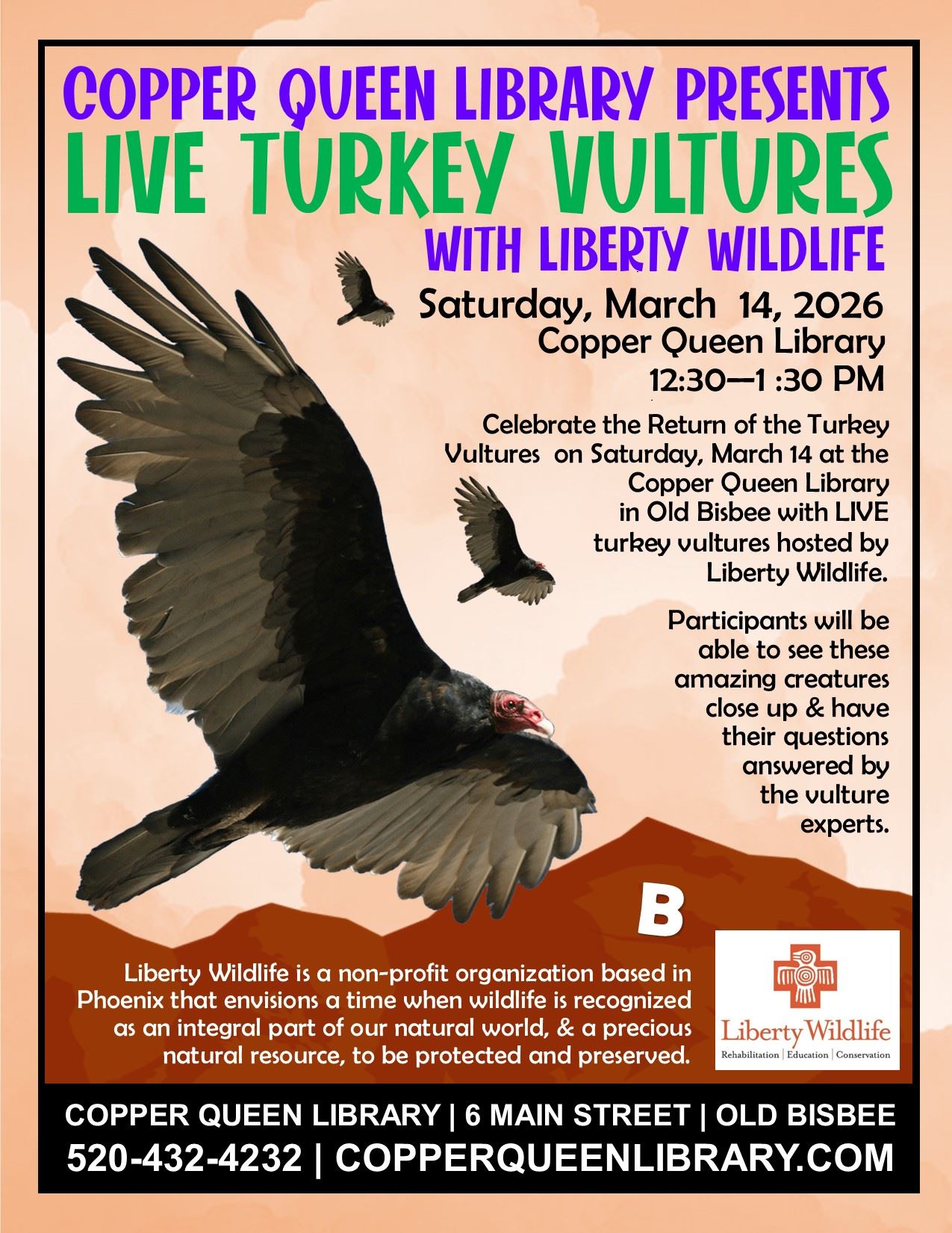 Vultures Poster Worksheet 2026