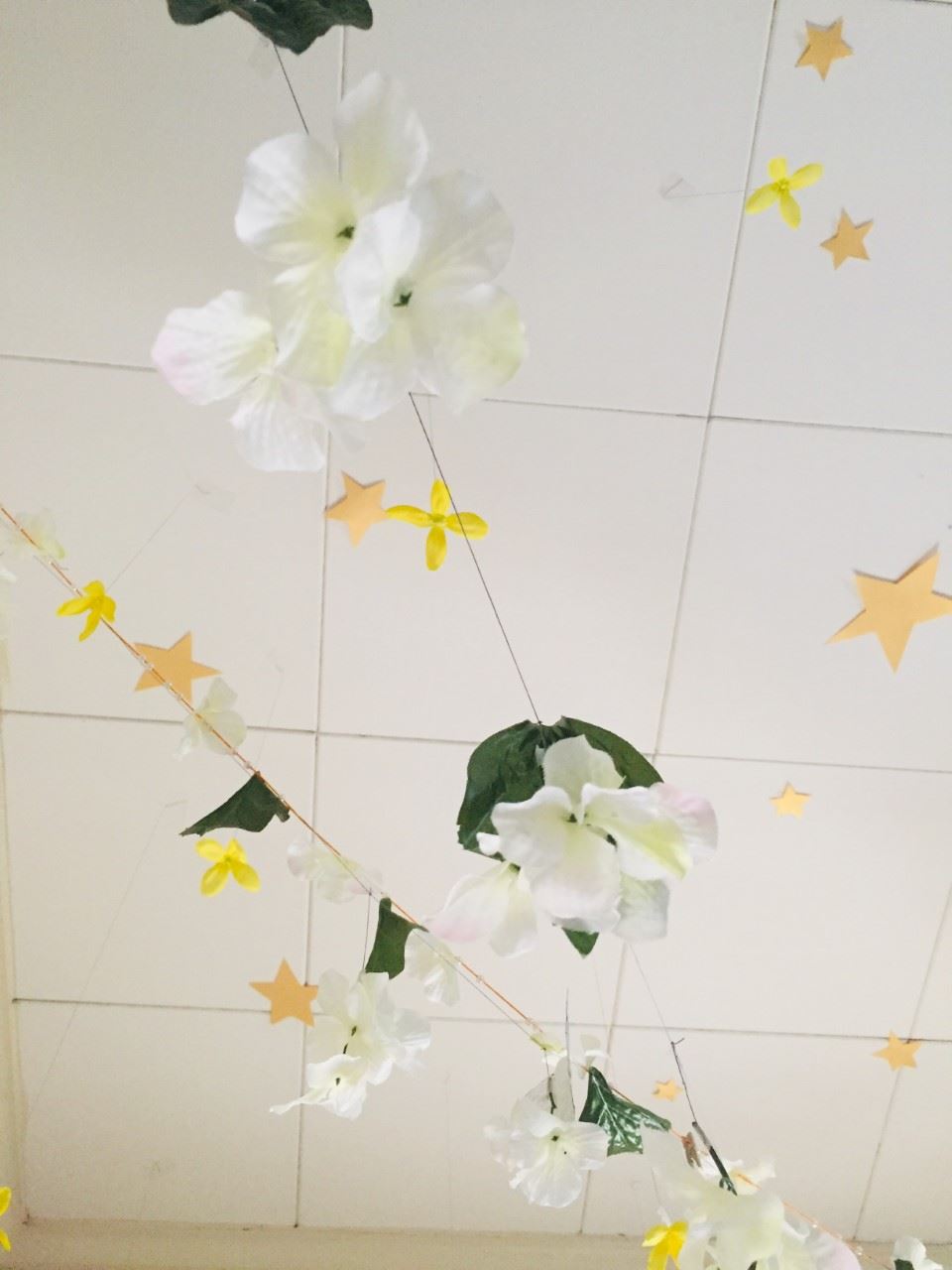 FLOWERS 3.26.2020 FLOWERS 3.26.2020